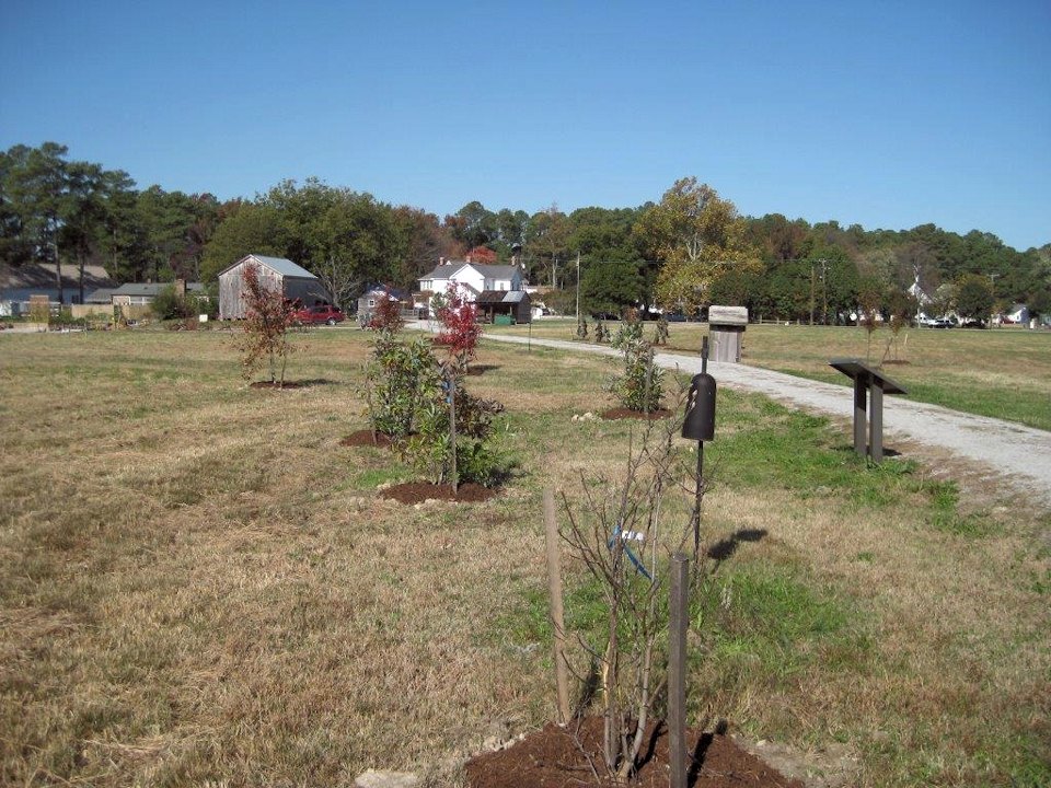 0883.jpg - Tree planting... November 2013