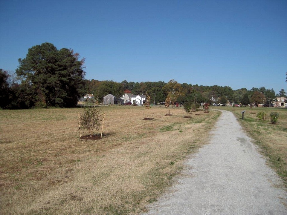 0886.jpg - Tree planting... November 2013