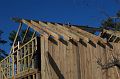 11-10-2008_10h10m35s