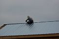 12-18-2008_12h53m40s